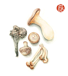 泽无旁贷11采集到24节气