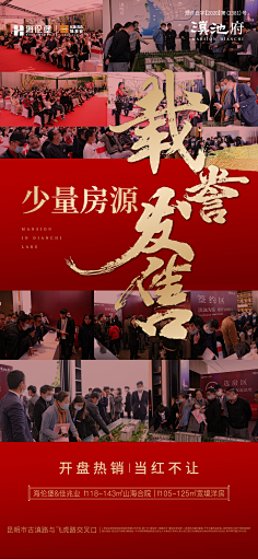 蓝色蒲公英a采集到海报