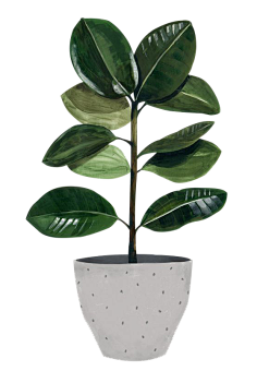 -加油!采集到植物素材