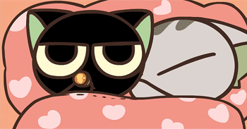 不仅是基罗小黑战记最新话cat7哀君吧百度贴吧