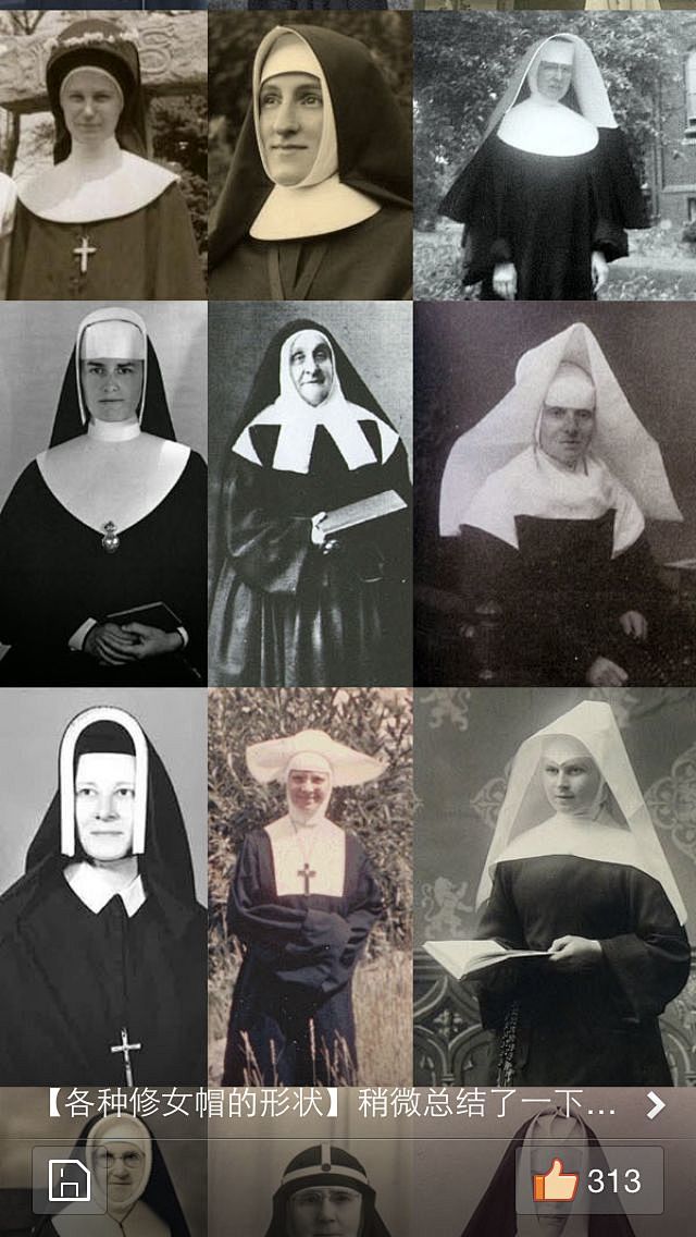 baidu.com 修女的帽子,转来的ˊ_>ˋ_看图
