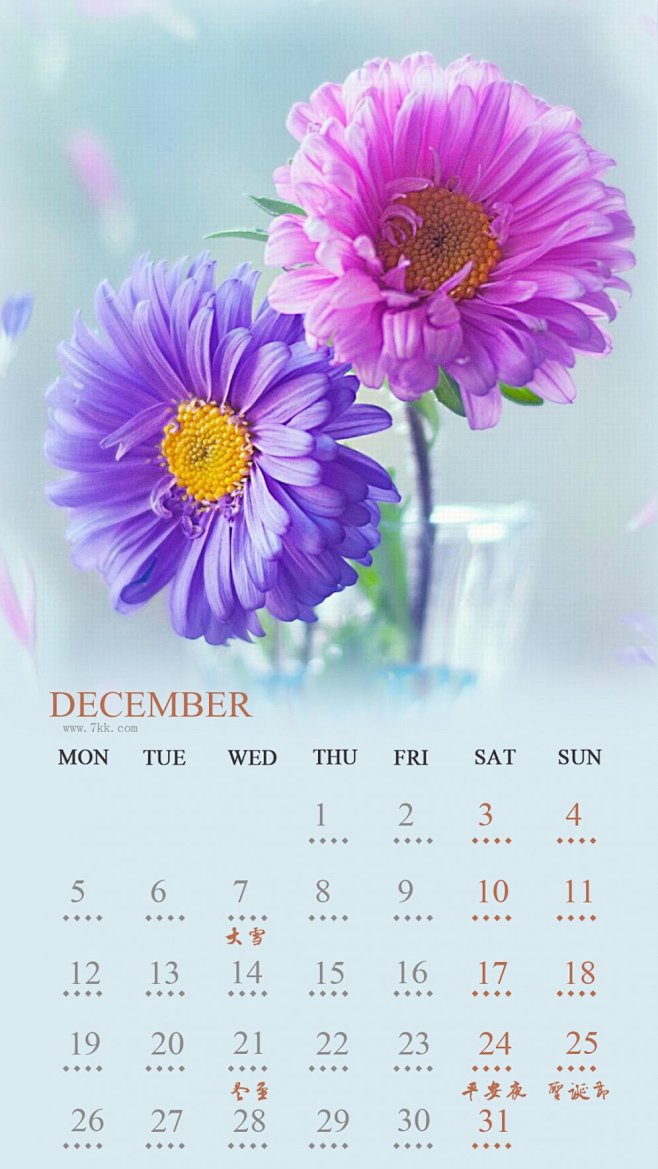 2016年12月小清新花朵高清日历手机壁纸