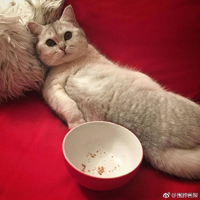 地球人，你看着办吧 