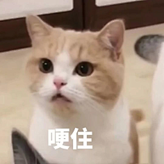 天佑切尔西采集到沙雕表情包