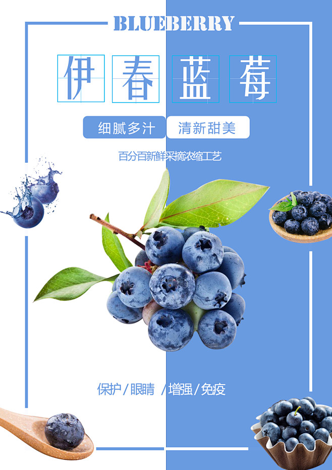 蓝莓海报