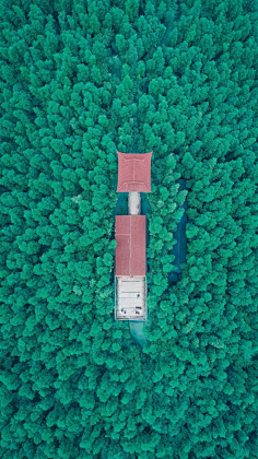 唐古拉的呼唤采集到在路上