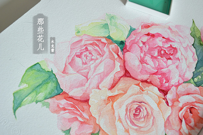 木龙蕾 绘 那些花儿花朵玫瑰芍药手绘水彩画原创小清新插画绘画教程涂鸦步骤植物叶子花束礼物