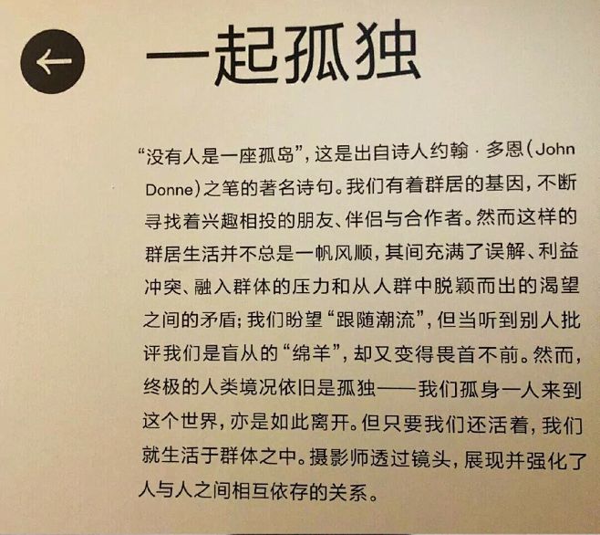 沐兮阑采集到文字控