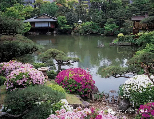 转载日本景观庭院的设计特色三植物篇