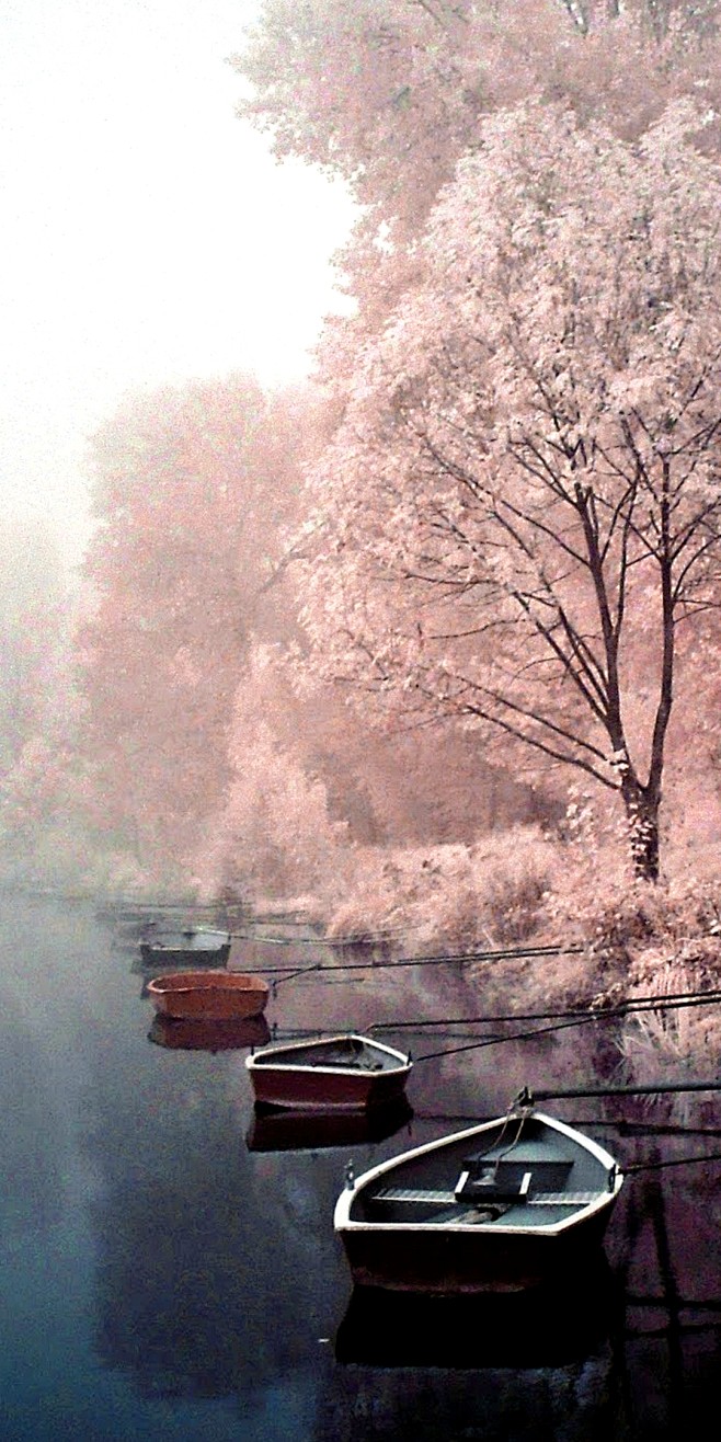 晚桑微尘从北宜af转采于2020-05-28 00:54:45唯美意境素材(舟)晚桑