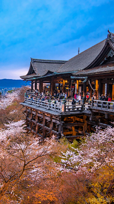 akong采集到旅游