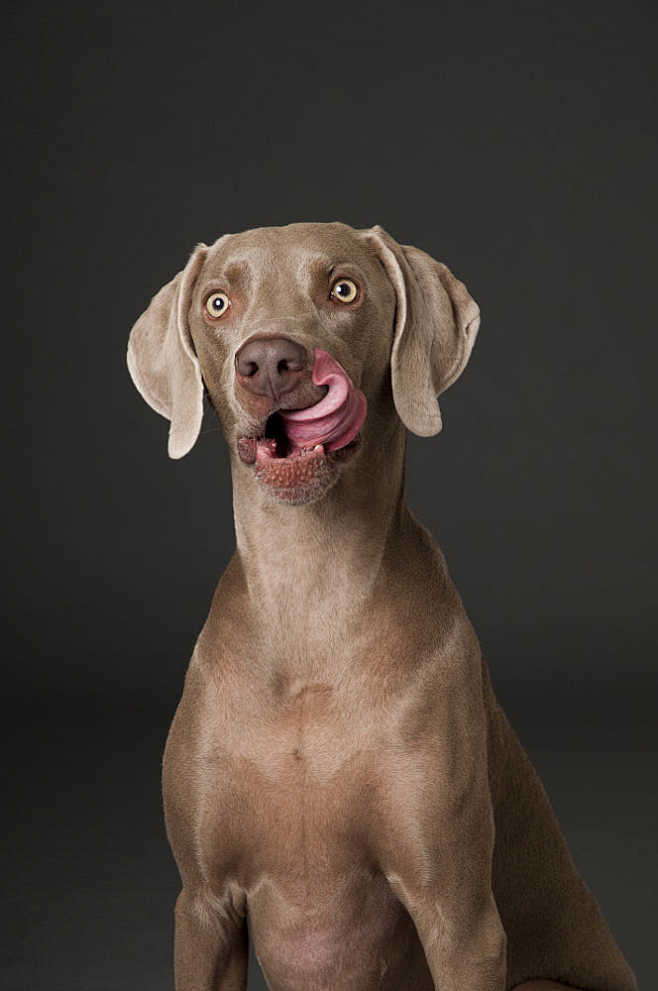 tonguetwisterbylaurastanleyon500px