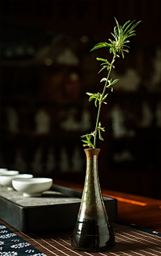 弓长云采集到茶文化