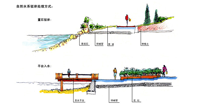 驳岸处理方式图片