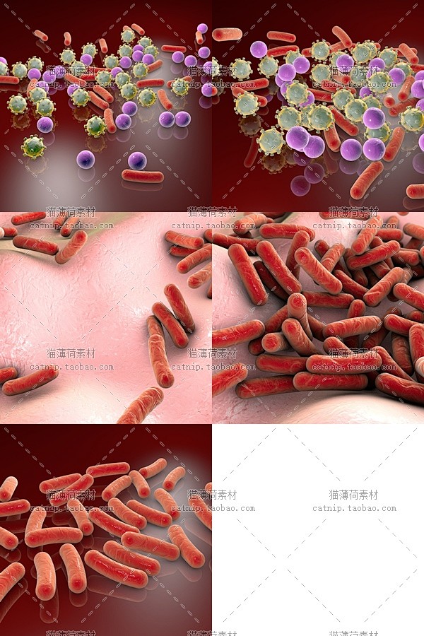 gq288微距抗生素抗体耐药细菌细胞生物化学医学背景高清