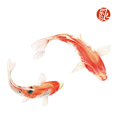 黄丝绿采集到彩铅