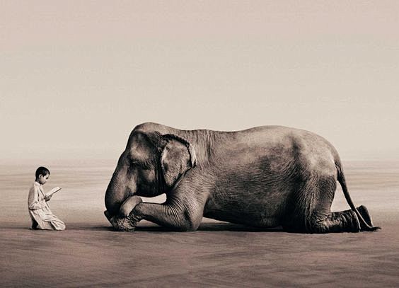 gregorycolbert