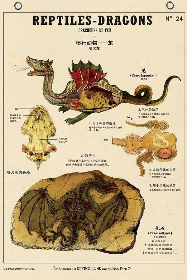 《博物學家的神秘動物圖鑑》手繪解剖神話動物的秘密圖鑑