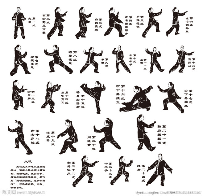 沙式十二式太极拳教学图片