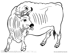 馮俽采集到簡筆畫