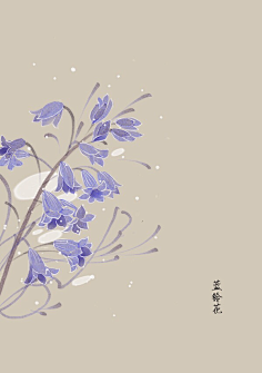 芍药居一霸采集到不知道叫啥名