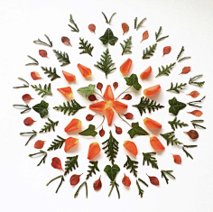 老付_23采集到Flower scape
