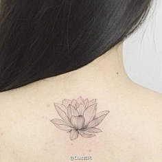 MintCAT采集到tattoo
