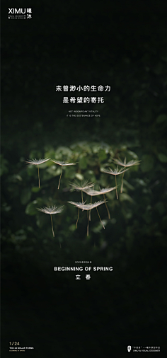 大胡子狗采集到节日节气