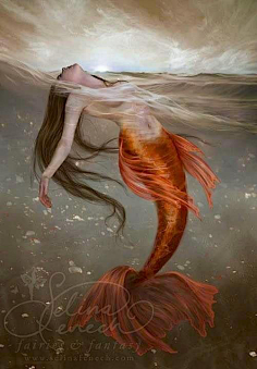 蓝月雪融采集到Mermaid