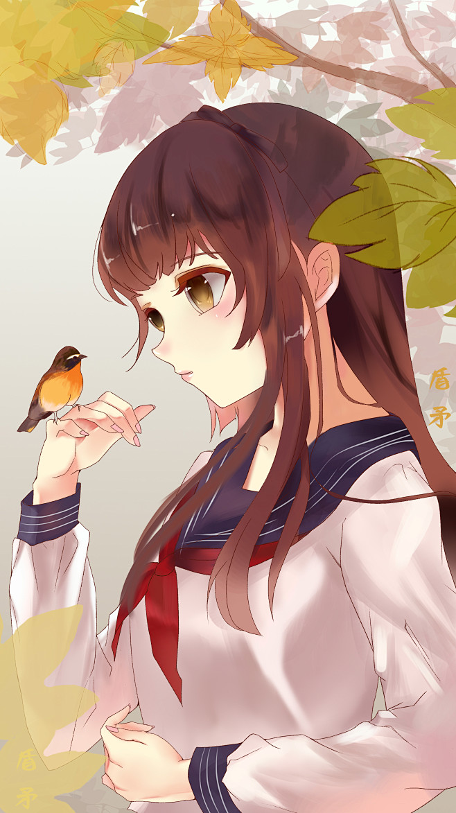 赛璐璐日系临摹练习