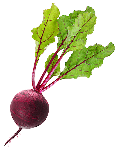 Beet PNG