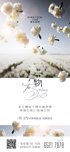 兿术临風采集到系列稿