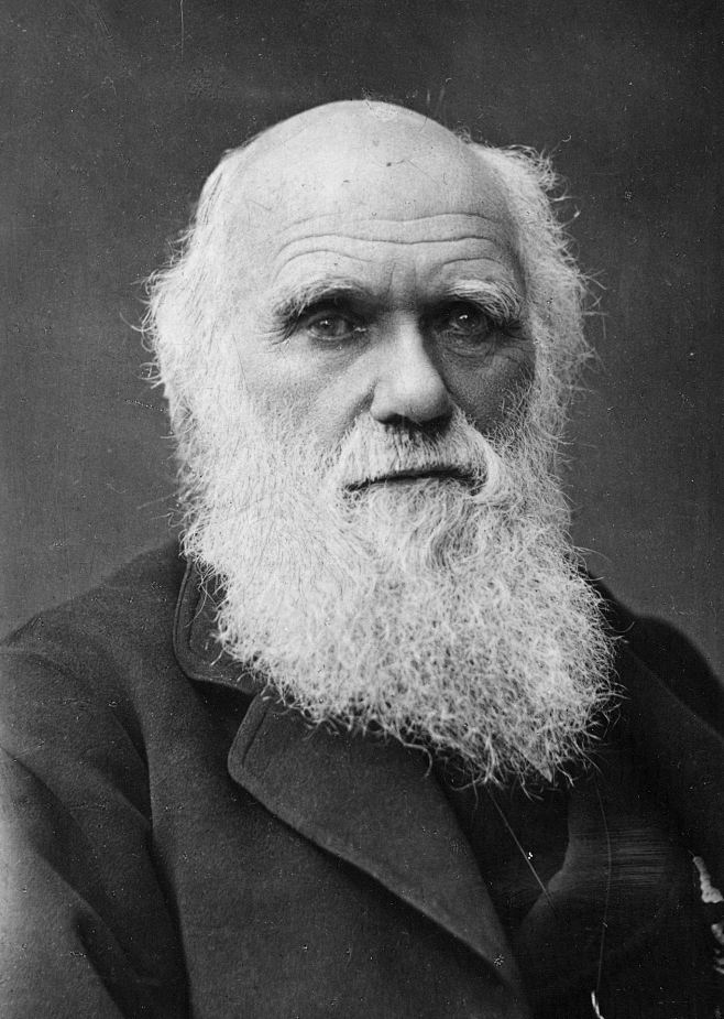 进化论的奠基人) 查尔斯·罗伯特·达尔文(charles robert darwin