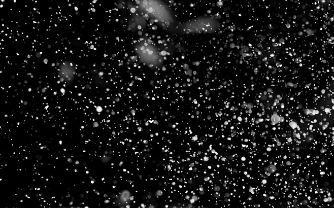 雪下雪落雪雪花雪花飘散素材雪素材唯美暴风雪大雪飞雪雪景雪花飘落渲染气氛前景png素材后期图片合成特效合成 雪 下雪 雪素材 素材 Png 素材