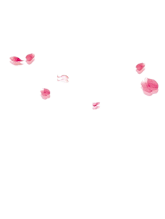 容嫣卿采集到★素材~杂★