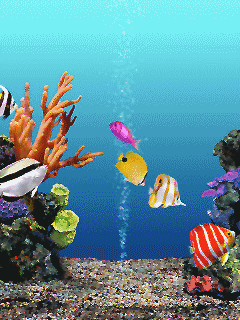 海底世界动态壁纸的搜索结果_360图片搜索