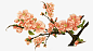 粉色桃花图案高清素材 新春 春天 桃花 粉色 元素 免抠png 设计图片 免费下载 页面网页 平面电商 创意素材