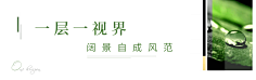 紫金最霸道采集到字体