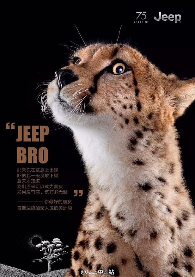 jeep75周年生日之际世界各地的动物们竟然发来了贺电