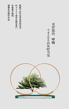 秋子2019采集到商业地产
