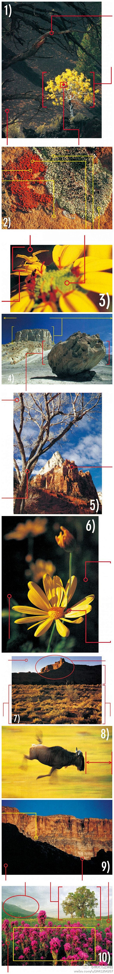 的質感8為運動的物體留下空間9色調對比10廣角鏡頭產生戲劇性的畫面