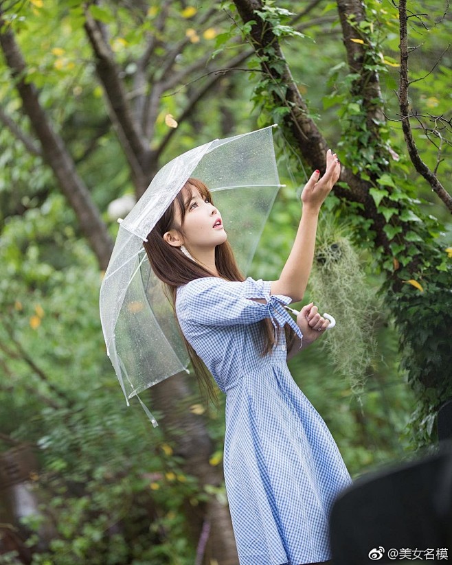 美女名模的微博 桃子圈-微博全数据
