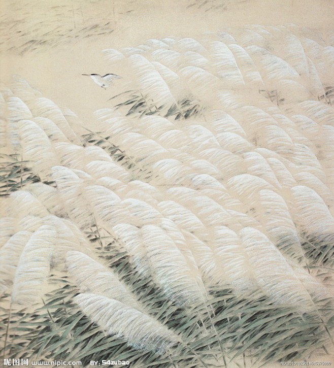 沙家浜芦苇荡绘画图片