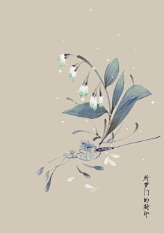 芍药居一霸采集到不知道叫啥名