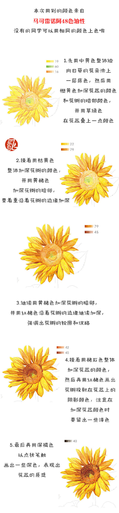 zycn采集到花语