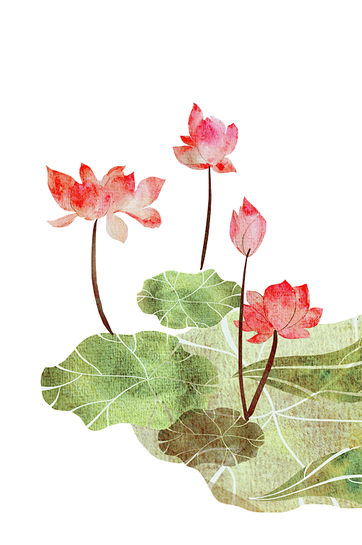 与君歌 半月莲no 2 限制素材专题 看图 今日与君歌一曲吧 百度贴吧