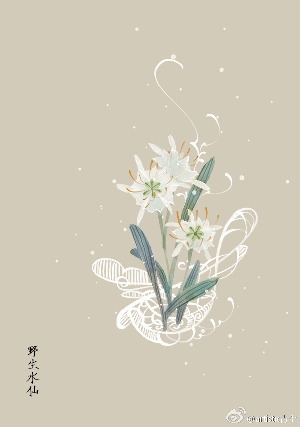 365天生日花 3月7日野生水仙 Wild Daffodil 花语 荣耀