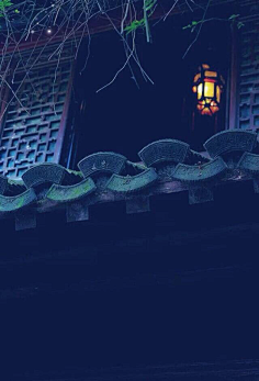 天使也掉毛7575采集到中式