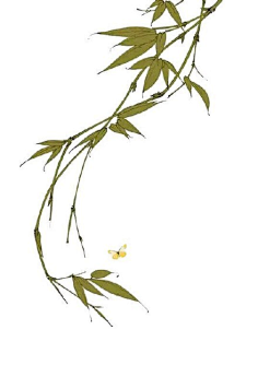 东城辞采集到古风·饰物