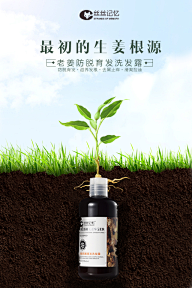 乐mg采集到生姜洗发水
